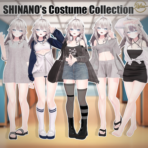 Shinano's Costume Collection
