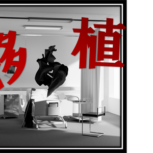 移植