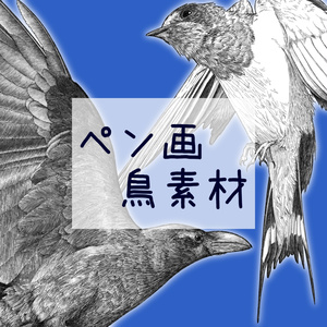 【ペン画 鳥素材】ツバメとカラス
