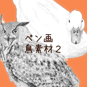 【ペン画 鳥素材】ワシミミズクとアヒル