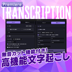【下ごしらえを自動化】無音カット&自動文字起こし高機能パネル【EX04】