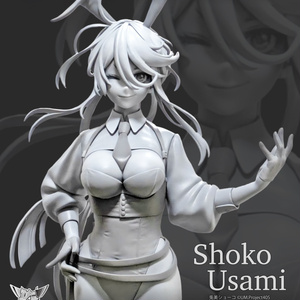 ショーコスーパータフシリーズ(1kg - UM405購買部繁忙期、(現在1週間