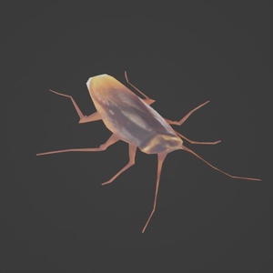 Low Poly Roach