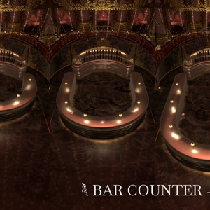 OnyX【PC / Android（クエスト）対応 接客・BARイベント向けワールド】 缩略图 10