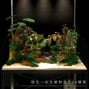 アクアテラリウム水槽 ~RainForest~ 【PC / Android（QUEST）/ iOS対応】 缩略图 3