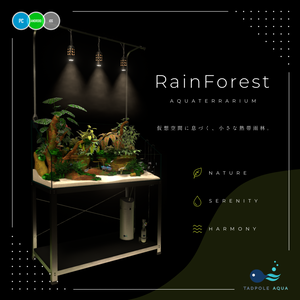 アクアテラリウム水槽 ~RainForest~ 【PC / Android（QUEST）/ iOS対応】