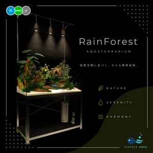 Aqua Terrarium Tank ~RainForest~ [PC / Android (QUEST) / iOS Compatible]