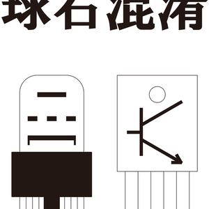 球石混淆(電子版)