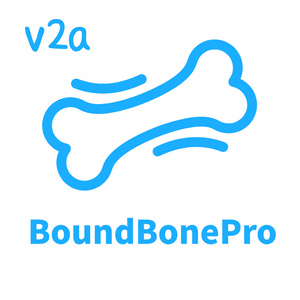 Avatar Extension Tool BoundBonePro