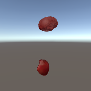 【VRChat】 Brain And Heart MA