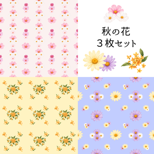 秋の素材｜コスモス｜キンモクセイ｜デイジー｜デジタル素材｜デジタルペーパー｜ラッピング｜セット