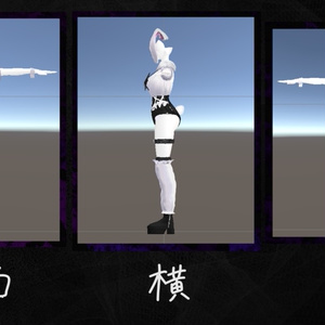 🐇Evernight Rabbit🐇【VRCHAT】 缩略图 2