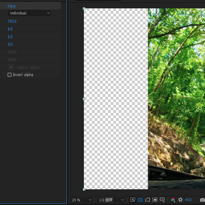 【After Effects プラグイン】Crop.aex