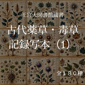 【王宮大図書館蔵書】古代薬草・毒草 記録写本（1）　１８０枚