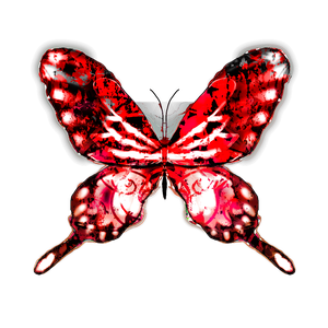 🦋蝶々🦋Butterfly🦋　透過素材だよ！！