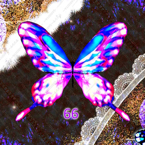 🦋蝶々🦋Butterfly🦋　透過素材ー有料版