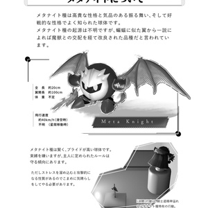 カビメタ柄三角パック(2枚入り) - はかおに1号店 - BOOTH