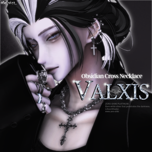 VALXIS Ver.1.1