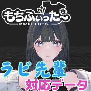 ラビ先輩用もちふぃった～対応データ