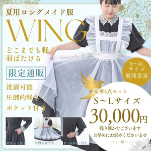 Lサイズ】ワンダーパーラー クラシカルメイド®︎服 ロング丈