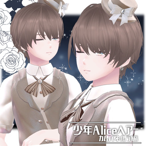 少年Aliceヘアー カムパネルラ編【VRC想定hair】 缩略图 9