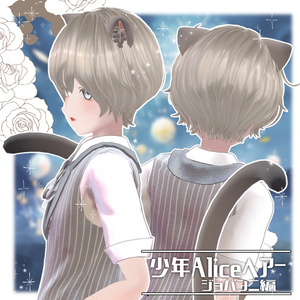 少年Aliceヘアー ジョバンニ編【VRC想定hair】 缩略图 10