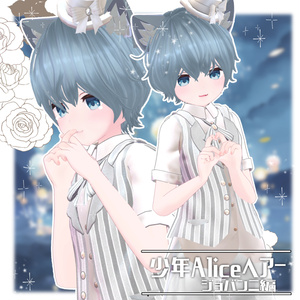 少年Aliceヘアー ジョバンニ編【VRC想定hair】 缩略图 4