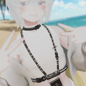 Pionites summer【5アバター、＋Head 対応】 缩略图 21