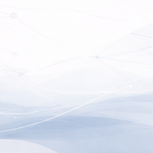 AI Governance Checklist for Implementation (English version)