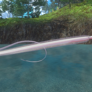 【VRC想定】なんちゃってお魚ペットシステム＋シギウナギ 缩略图 2