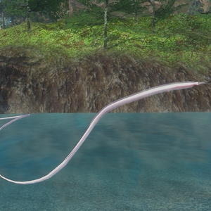 【VRC想定】なんちゃってお魚ペットシステム＋シギウナギ 缩略图 3