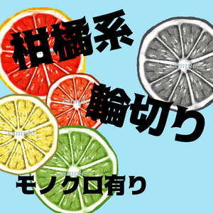 柑橘類.輪切り（イラスト素材）
