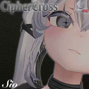 【複数アバター対応】ℂ𝕚𝕡𝕙𝕖𝕣ℂ𝕣𝕠𝕤𝕤 缩略图 10
