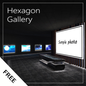 Hexagon Gallery