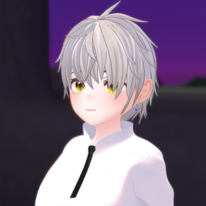 [ダミ] Half zip-up
