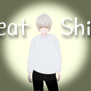 Sweat Shirts [ハイネ]