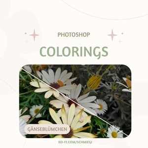 [Paid] Photoshop Coloring 4