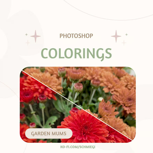 [Paid] Photoshop Coloring 8