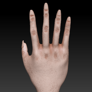 Zbrush Hand Project