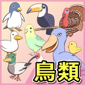 鳥類