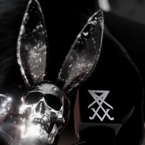 「BLVK S1 Ring Set」オリジナル3Dアクセサリー 缩略图 3