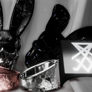 「BLVK S1 Ring Set」オリジナル3Dアクセサリー 缩略图 2