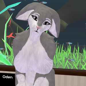 VRC - Bunny/Bunno