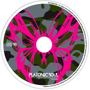 PLATONIC SOUL