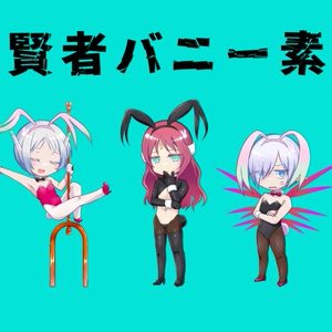 【SO2R】十賢者バニー素体アクスタ