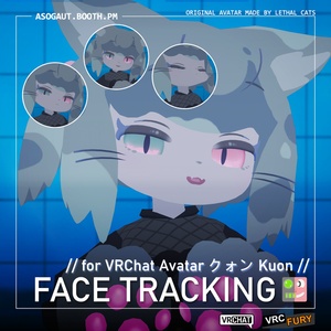 Kuon (クォン) Face Tracking Add-on (PC Version)