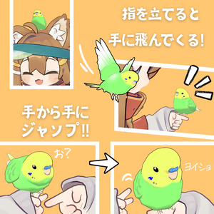 ペットのインコ【MA対応】 缩略图 2