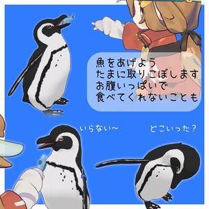 【追従ペット】ペットのケープペンギン【MA対応】 缩略图 3