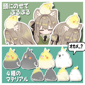 ★販売開始セール★【頭のせペット】もちぷるオカメ【MA対応】 缩略图 2