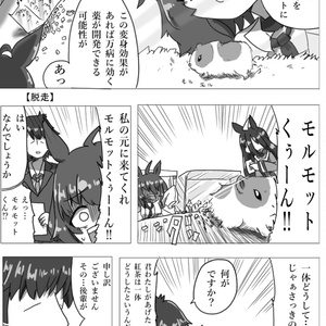 銀河うまぴょい伝説　総集編全巻セット 銀河うまぴょい伝説 (ぎんがうまぴょいでんせつ)とは【ピクシブ